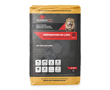 Image du produit : PRÉPARATION DU LION image